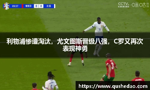 星空真人登录入口
