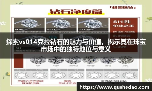 星空真人官网入口